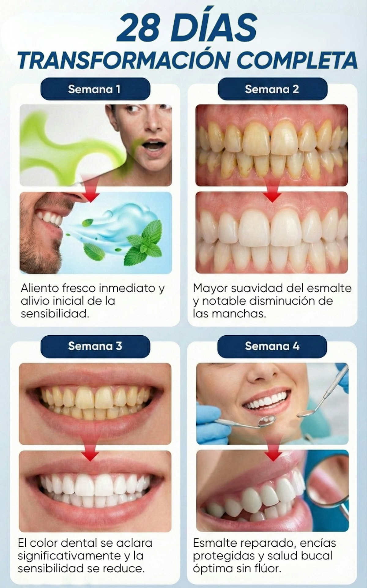 Transformación dental en 28 días: Sem1 Eliminación mal olor y mejora encías | Sem2 Suavidad dental y reducción manchas | Sem3 Corrección color y sensación natural | Sem4 Flora bucal saludable con menos visitas al dentista