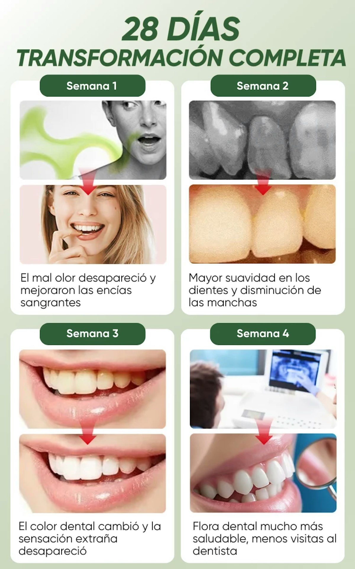 Transformación dental en 28 días: Sem1 Eliminación mal olor y mejora encías | Sem2 Suavidad dental y reducción manchas | Sem3 Corrección color y sensación natural | Sem4 Flora bucal saludable con menos visitas al dentista
